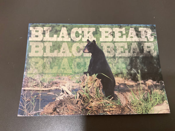 Postcards
