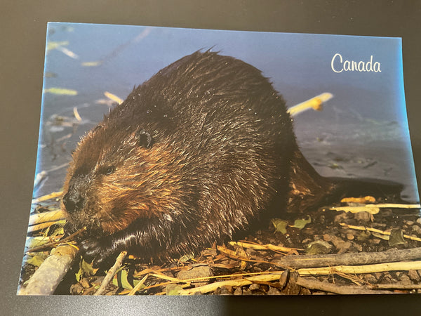 Postcards